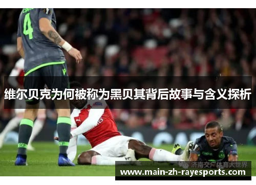 维尔贝克为何被称为黑贝其背后故事与含义探析