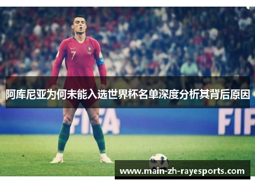 阿库尼亚为何未能入选世界杯名单深度分析其背后原因